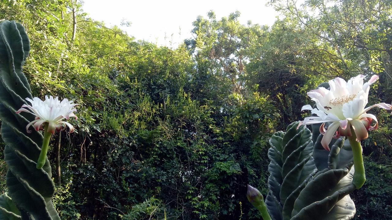 Aristóbulo del Valle Posada Camboata מראה חיצוני תמונה